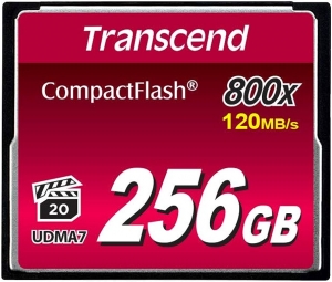 256GB Transcend TS256GCF800