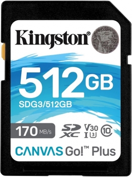 512GB Kingston Canvas Go! Plus
