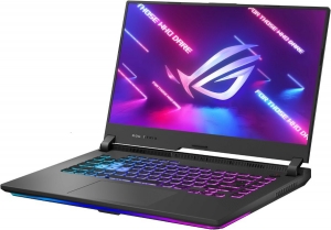 Asus ROG Strix G15 G513RM Gray