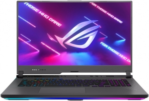 Asus ROG Strix G17 G713RC