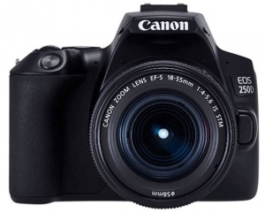 Canon EOS 250D & EF-S 18-55mm f/3.5-5.6 III KIT