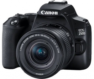 Canon EOS 250D & EF-S 18-55mm f/3.5-5.6 IS STM KIT