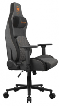 Cougar Defensor Gray F