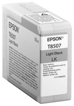 Epson T850700 Light Black