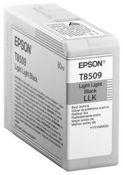 Epson T850900 L L Black