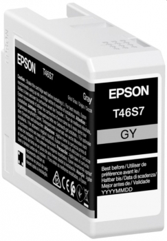 Epson C13T46S700 UltraChrome PRO 10 Ink Gray
