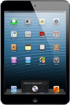 Apple iPad Mini 16Gb 4G Black