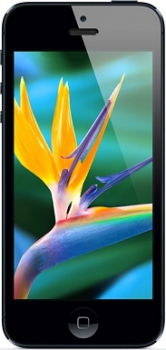 Apple iPhone 5 32Gb Black Neverlock Apple iPhone 5 32Gb Black Neverlock