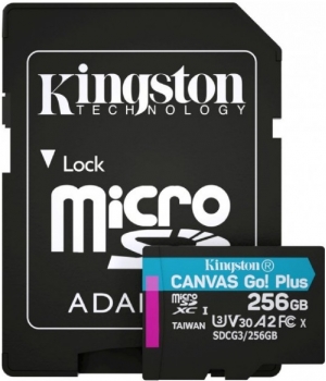 Kingston 256GB MicroSD Card + SD Adapter