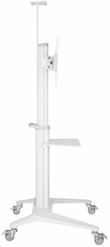 Reflecta 70VCP-Shelf