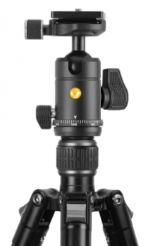 Vanguard Vesta Go 264AB