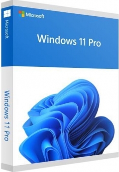 Windows 11 Pro English OEM